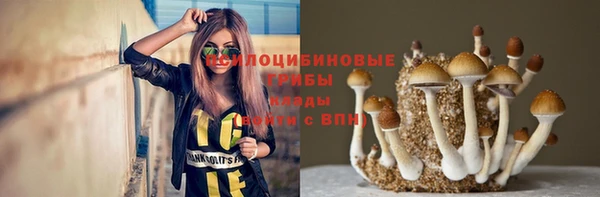 молекула духа Белоозёрский