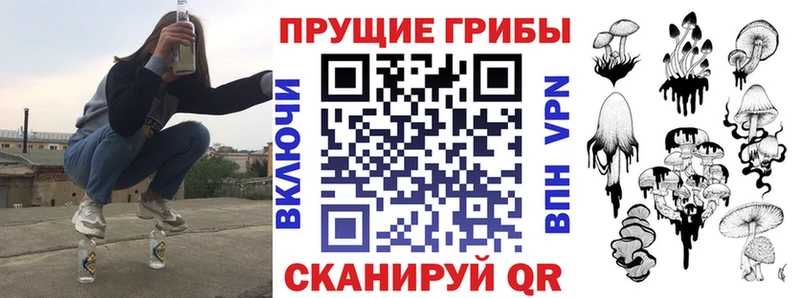 Псилоцибиновые грибы мицелий  Купить  Артёмовский 